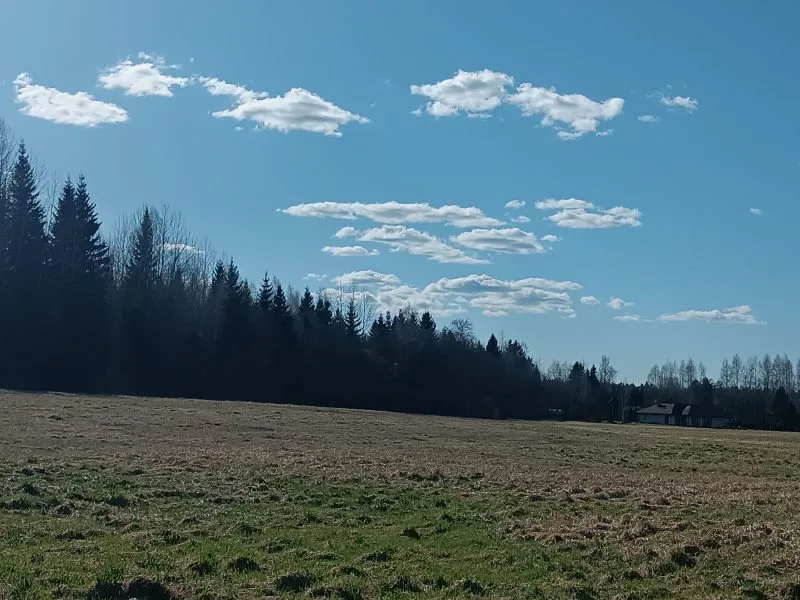 Jaunrakauskas ... 12