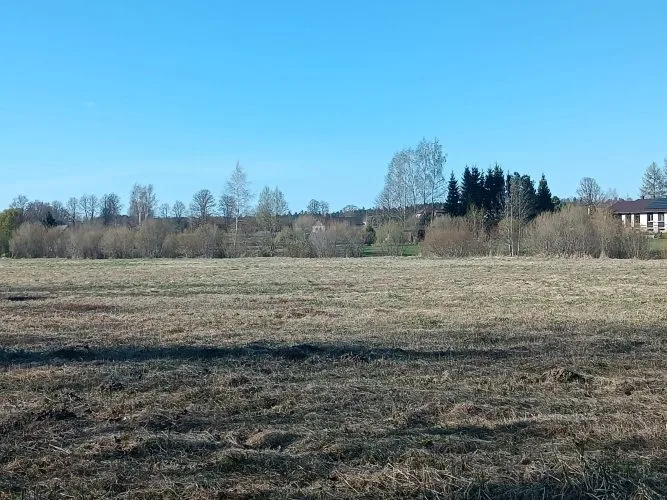 Jaunrakauskas ... 7