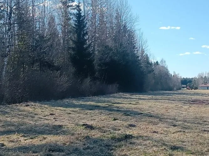 Jaunrakauskas ... 1