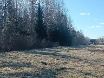 Pārdod zemi, Jaunrakauskas ..., Ikšķiles novads, Tīnūžu pagasts, Tūrkalne / 49 000 € 1