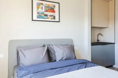 Izīrē dzīvokli, E.Birznieka Upīša iela 20a, Rīga, Labais krasts, Centrs / 470 € 8