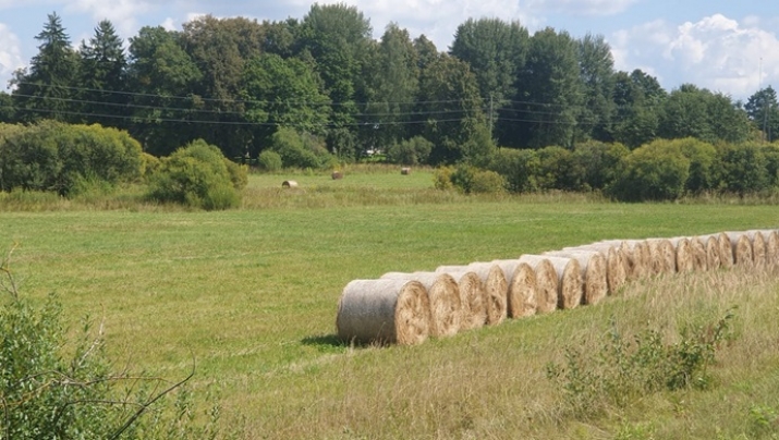 Sproģi 1 1