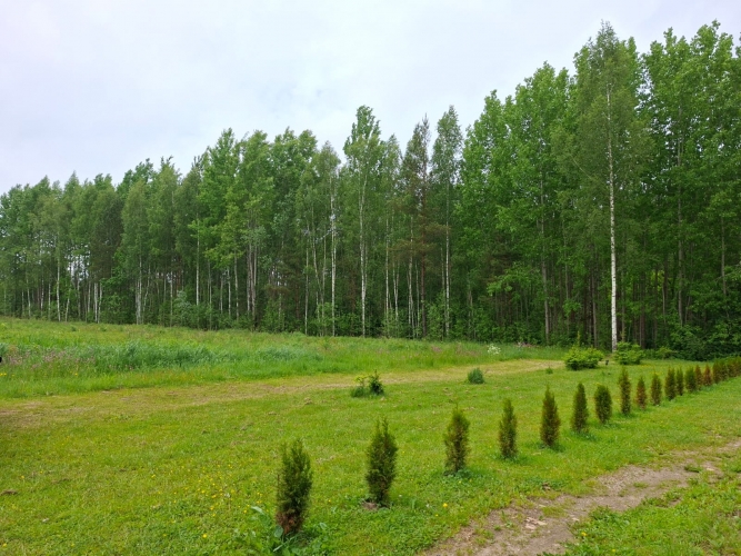 Daugavas iela 37 4