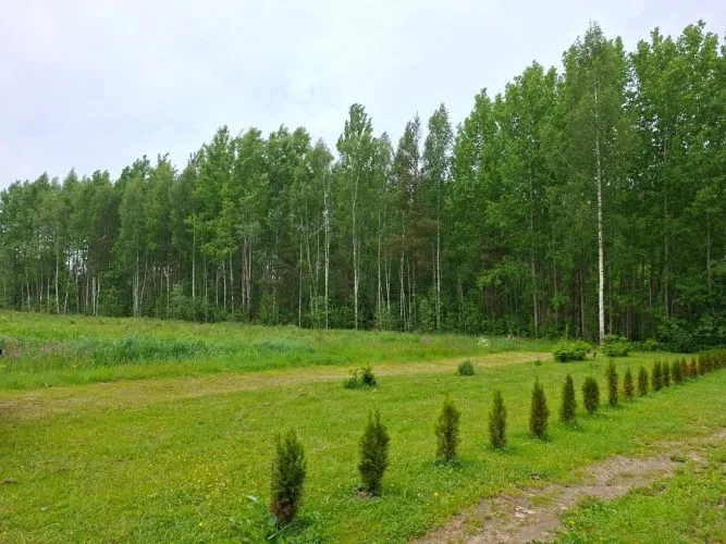 Daugavas iela 37 4
