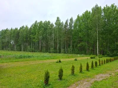 Pārdod zemi, Daugavas iela 37, Ādažu novads, Ādaži / 285 700 € 4
