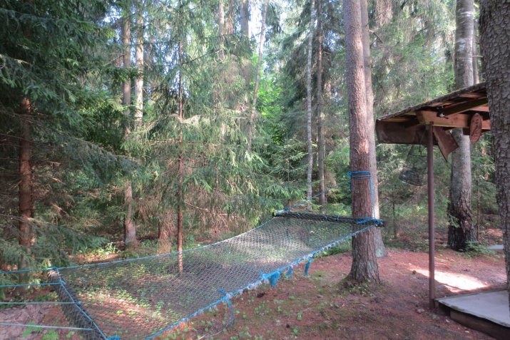 Lejasaustrumi iela 0 57