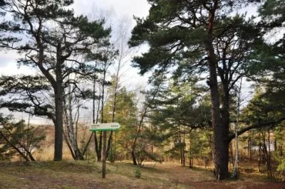 Аренда дома, Liepu улица 14, Saulkrastu novads, Saulkrasti / 1 800 € 17