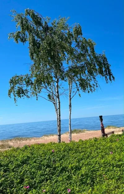 Аренда дома, Liepu улица 14, Saulkrastu novads, Saulkrasti / 1 800 € 14