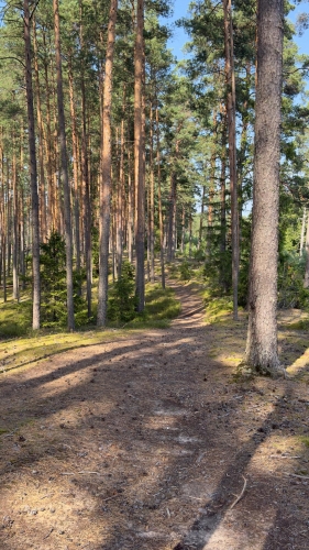 Ķērpju iela 1 7