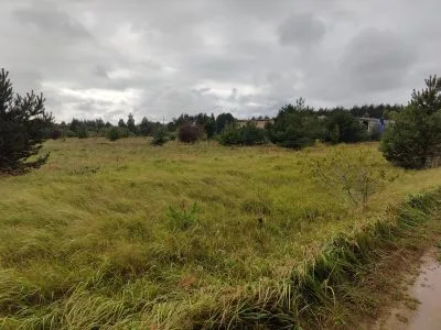 Pārdod zemi, Piejūras iela 0, Pāvilostas novads, Vērgales pagasts / 35 000 € 5