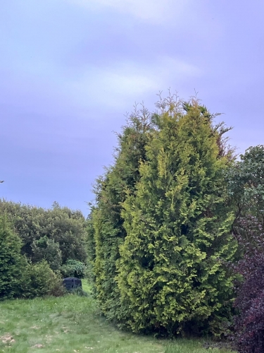 Ķivuļu iela 8 27