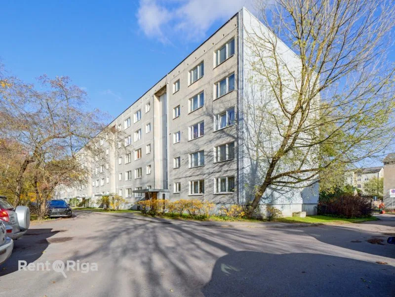 Riekstu iela 16 1
